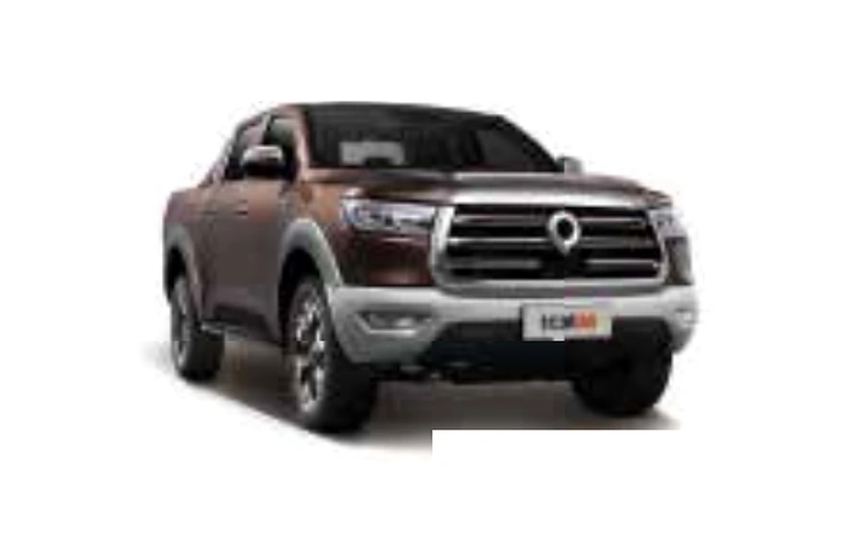 GREAT WALL POER vehicle