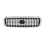 5509110U1080 Grille - JAC Rein